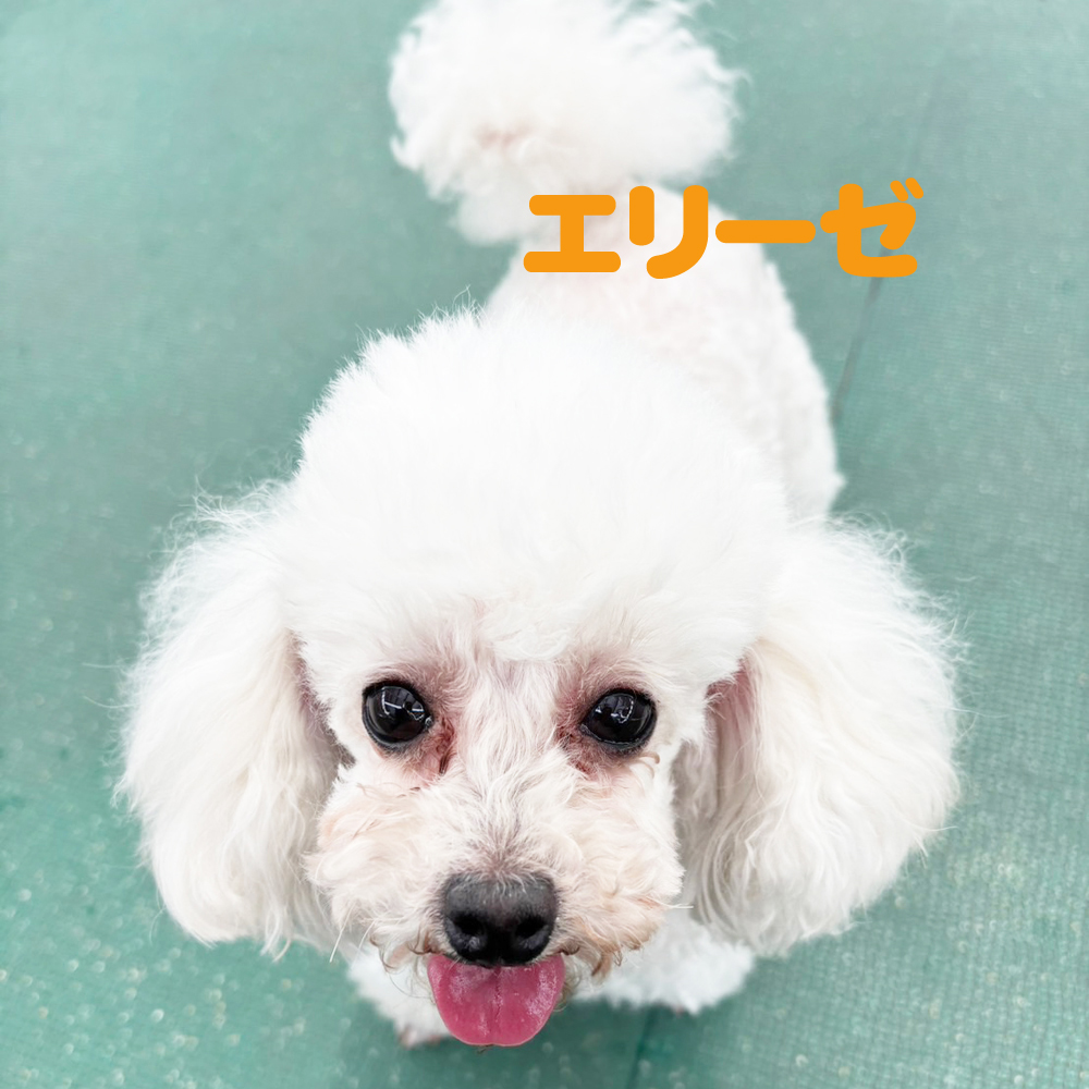 生徒が撮影してくれました♪